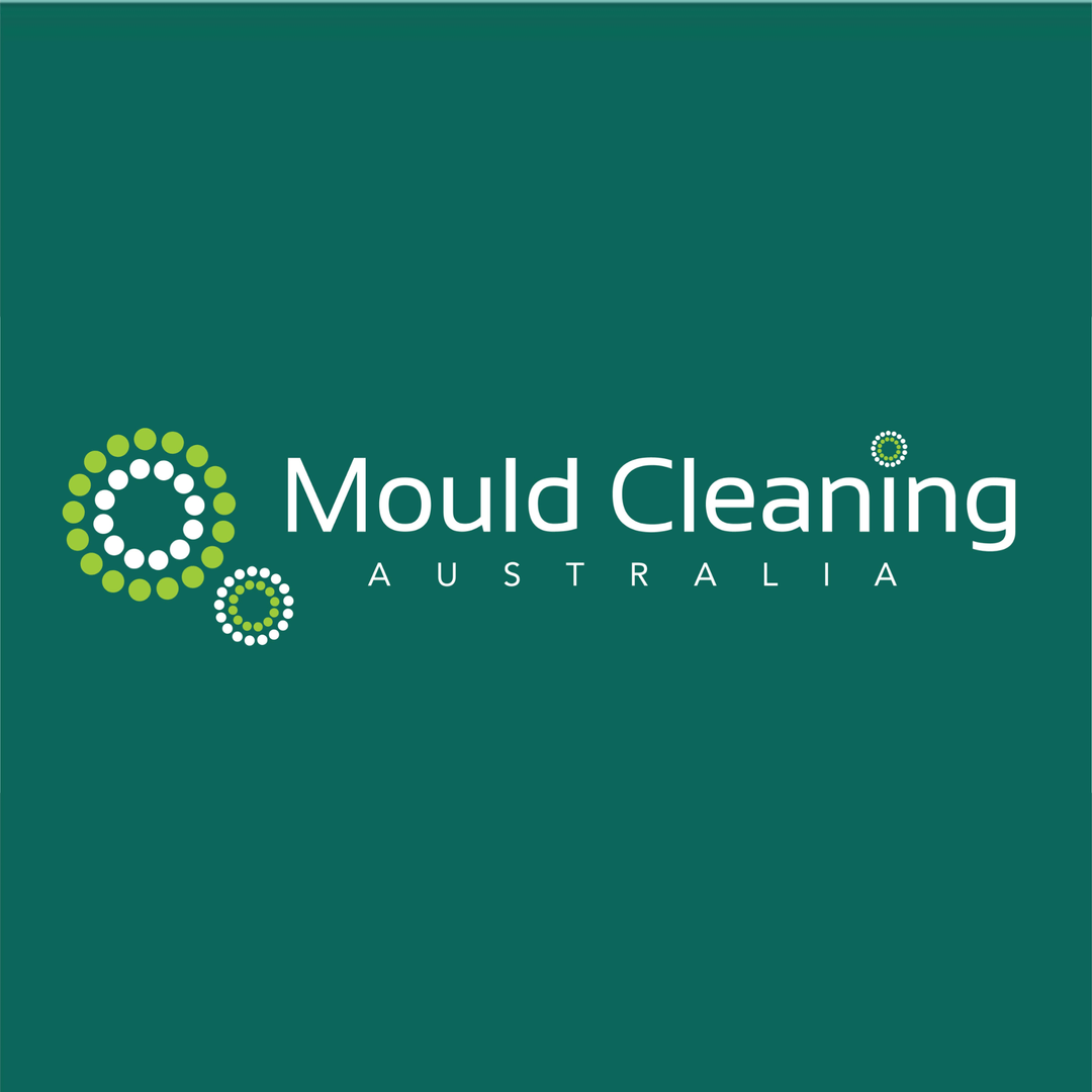 How To Get Mould Out Of Clothes